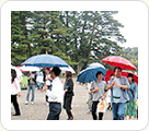 雨の兼六園