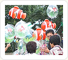 IN`s Balloon とクマノミDX