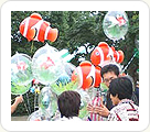江戸川区葛西の金魚祭り2005